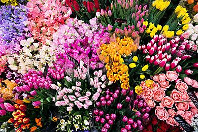 《使命召唤19：现代战争2》单人战役实机预告短片